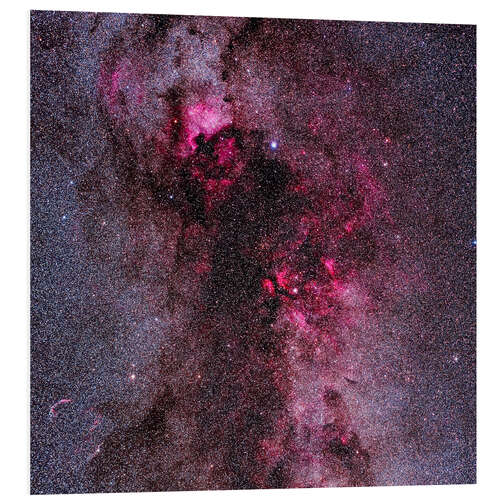 Foam board print The complex of red emission and dark nebulas in Cygnus