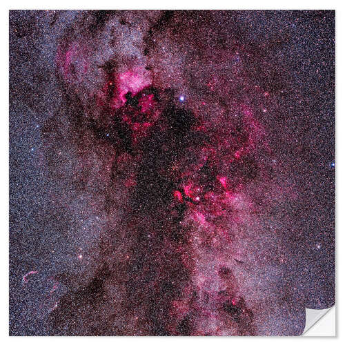 Sisustustarra The complex of red emission and dark nebulas in Cygnus