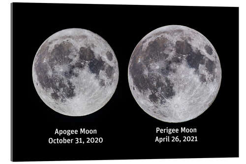 Akrylbilde Comparison of the full moon at Apogee and Perigee