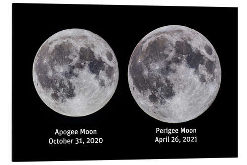 Tableau en aluminium Comparison of the full moon at Apogee and Perigee