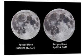 Obraz na aluminium Comparison of the full moon at Apogee and Perigee