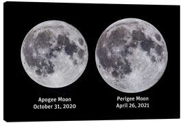 Stampa su tela Comparison of the full moon at Apogee and Perigee