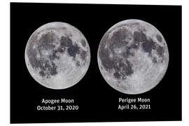 Foam board print Comparison of the full moon at Apogee and Perigee