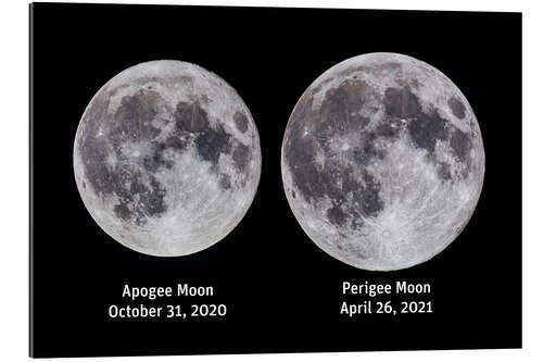 Gallery print Comparison of the full moon at Apogee and Perigee