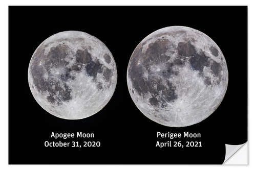 Selvklebende plakat Comparison of the full moon at Apogee and Perigee