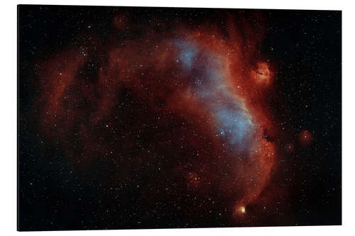 Tableau en aluminium IC 2177, The Seagull nebula in constellation Monoceros