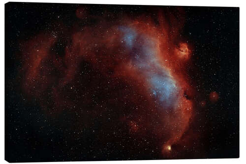 Canvas print IC 2177, The Seagull nebula in constellation Monoceros