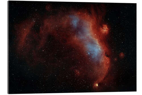 Galleriprint IC 2177, The Seagull nebula in constellation Monoceros