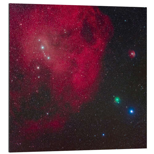 Aluminium print Comet ATLAS Approaching Lambda Orionis Nebula