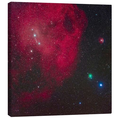 Canvas print Comet ATLAS Approaching Lambda Orionis Nebula