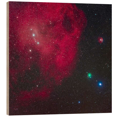 Wood print Comet ATLAS Approaching Lambda Orionis Nebula