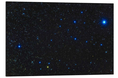 Tableau en aluminium Young blue and yellow stars in the Alpha Persei Cluster