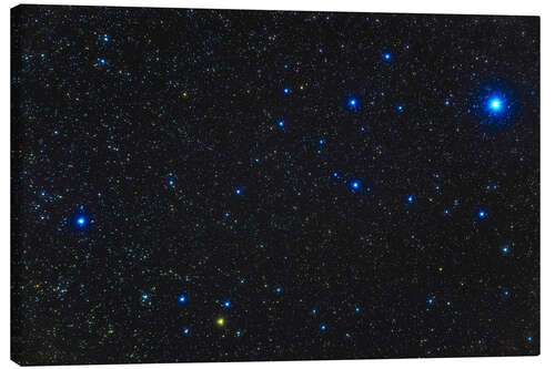 Canvas-taulu Young blue and yellow stars in the Alpha Persei Cluster