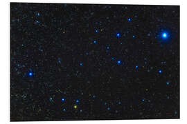 Foam board print Young blue and yellow stars in the Alpha Persei Cluster