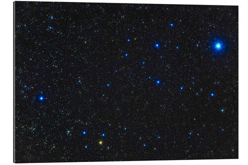 Galleriprint Young blue and yellow stars in the Alpha Persei Cluster