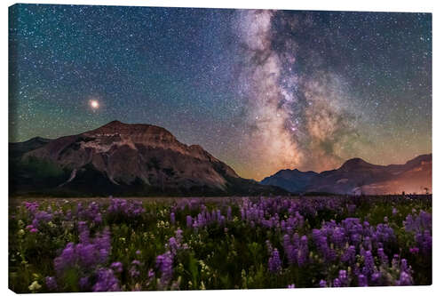 Leinwandbild Milchstraße und Mars über dem Waterton Valley, Wyoming