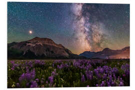 Print på skumplade The summer Milky Way and Mars over Waterton Valley, Wyoming