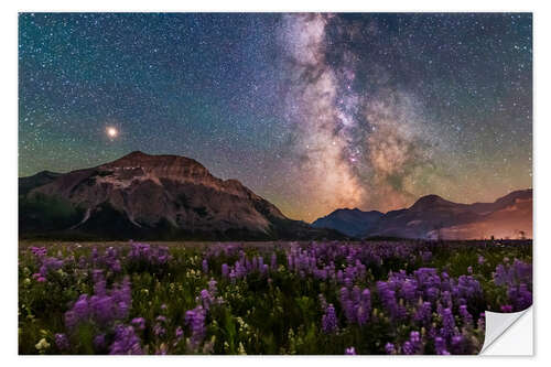 Sticker mural The summer Milky Way and Mars over Waterton Valley, Wyoming