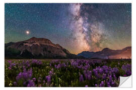 Sticker mural The summer Milky Way and Mars over Waterton Valley, Wyoming