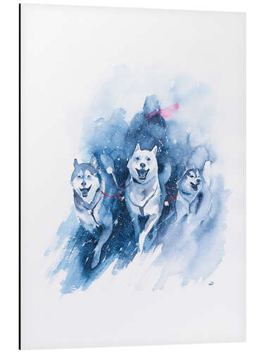 Stampa su alluminio Sled Dogs