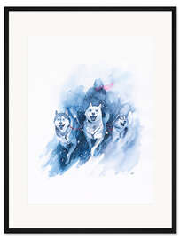 Gerahmter Kunstdruck Schlittenhunde