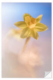 Wall sticker Cheerful Daffodil