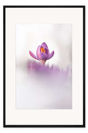 Gerahmter Kunstdruck Krokus-Glück