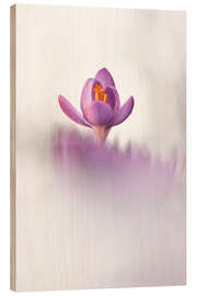 Quadro de madeira Happy Crocus