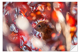 Selvklebende plakat Squirrels in the Autumn Leaves