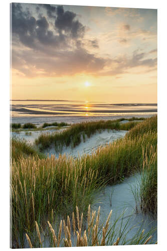 Acrylic print Sunset on the Dune Beach