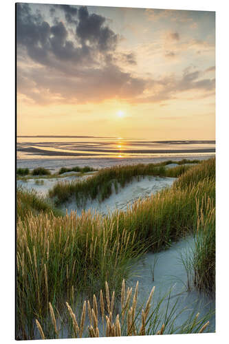 Quadro em alumínio Sunset on the Dune Beach