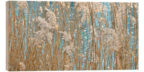 Stampa su legno Golden Grasses