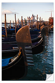 Wall sticker Gondolas moored at San Marco, Venice