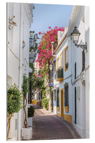 Gallery print Summer in Marbella