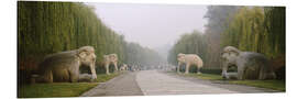 Cuadro de aluminio Statues of elephants along the Sacred Way, Ming Tombs, Beijing