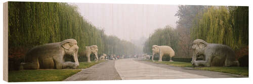 Cuadro de madera Statues of elephants along the Sacred Way, Ming Tombs, Beijing