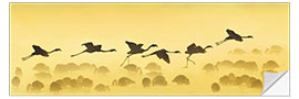 Wall sticker Flamingos landing, Kenya I