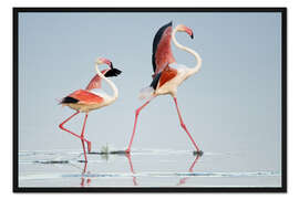 Gerahmter Kunstdruck Große Flamingos, Tansania