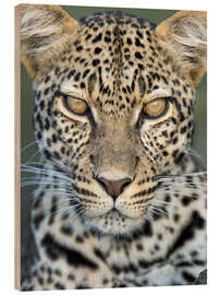 Holzbild Leopard, Ngorongoro-Schutzgebiet, Tansania