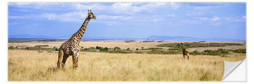 Sticker mural Giraffe, Maasai Mara, Kenya