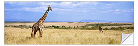 Sticker mural Giraffe, Maasai Mara, Kenya