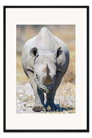 Gerahmter Kunstdruck Spitzmaulnashorn, Etosha-Nationalpark, Namibia