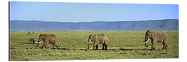 Tableau en plexi-alu Elephants, Ngorongoro Crater, Tanzania