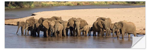 Sisustustarra Herd of African elephants at a river