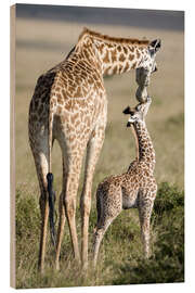 Holzbild Masai-Giraffe mit ihrem Kalb, Masai Mara National Reserve, Kenia