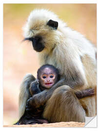 Wall sticker Langur Monkey with Toddler