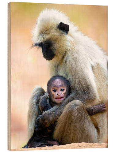 Tableau en bois Langur Monkey with Toddler