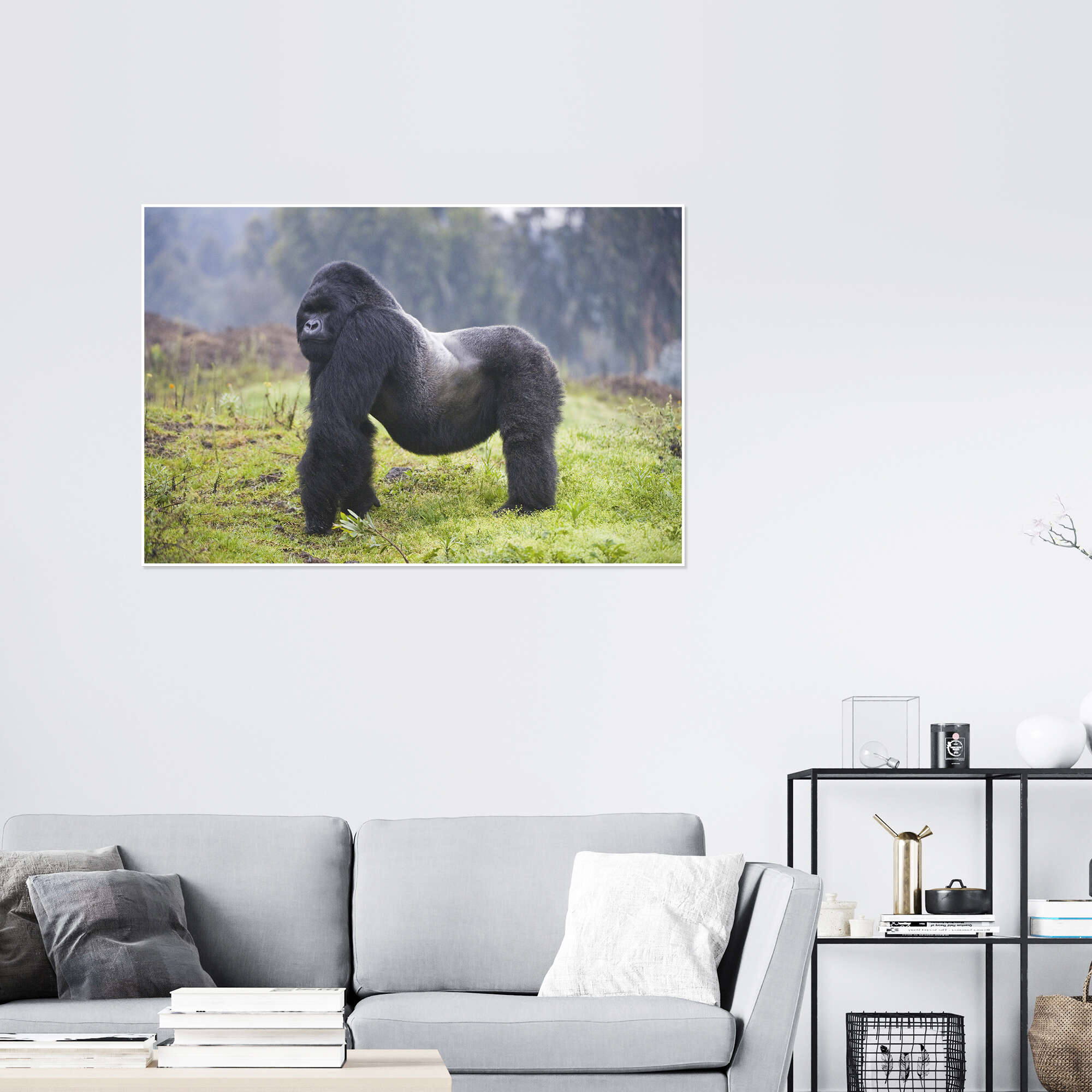 Living store Nature Silverback Gorillas Vintage UK Import Poster 24 x 36