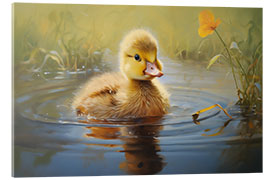 Akrylbillede Cute duckling