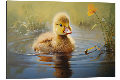 Gallery print Cute duckling